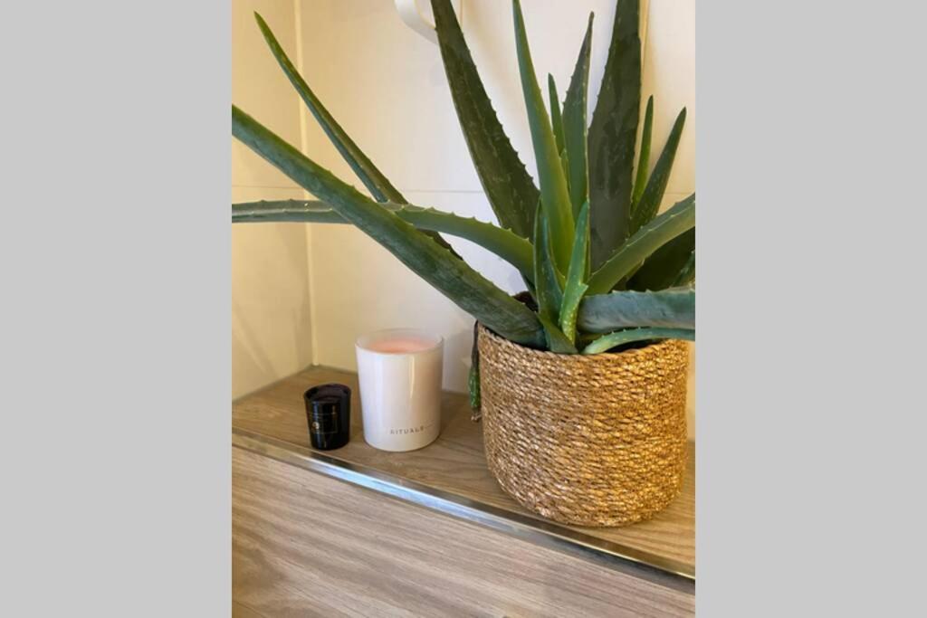 Warm Welkom! Zeer Ruime Prive Studio Met Tuin Harlingen Luaran gambar
